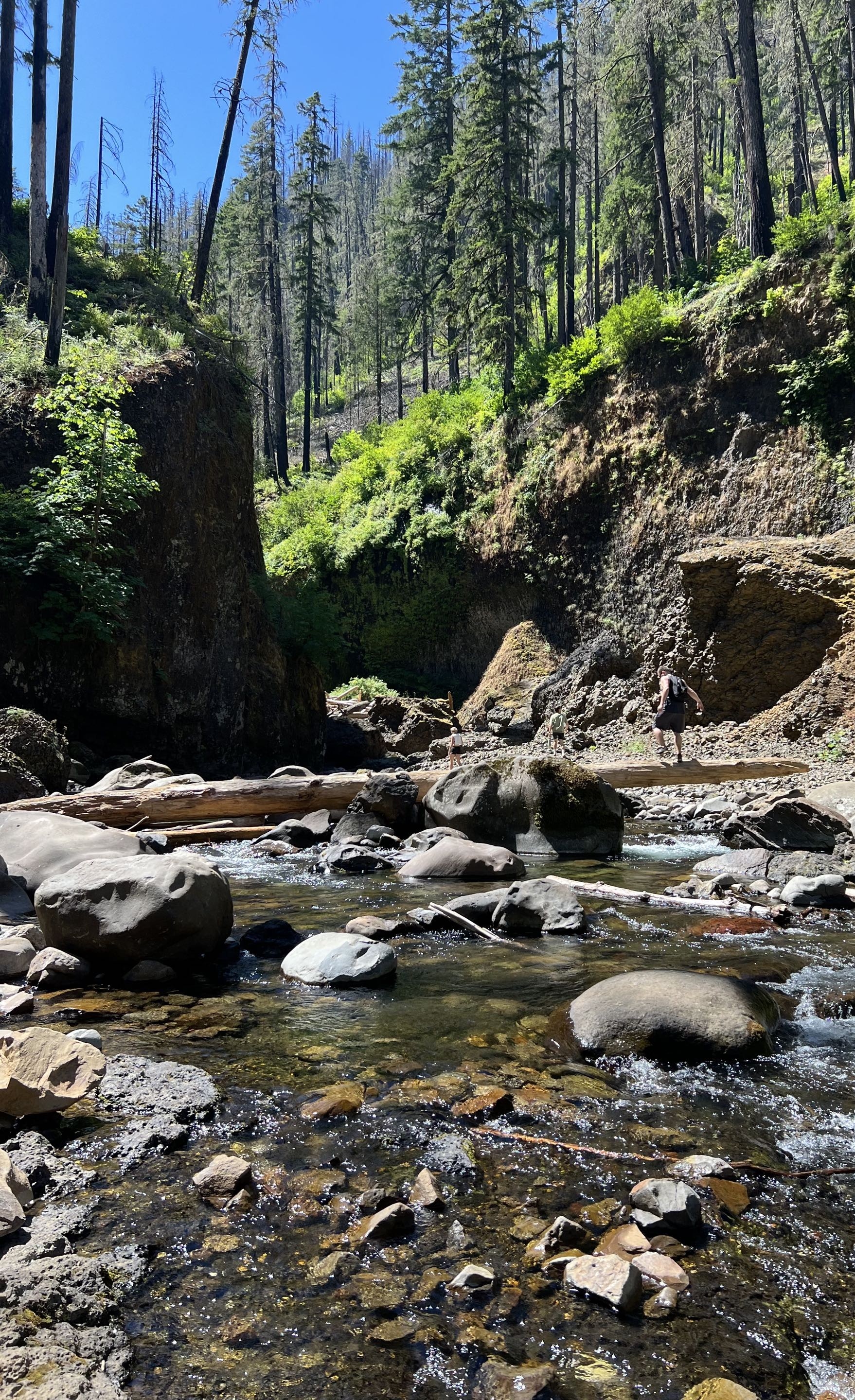 Hiking in the Pacific Northwest